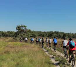 Mountainbiken op de Veluwe 4