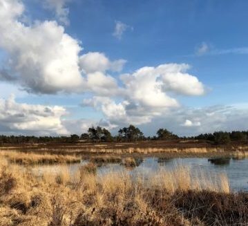 Mountainbiken op de Veluwe